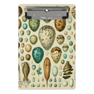 Mini Prancheta Vintage Bird Ovos de Peixes Franceses