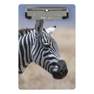 Mini Prancheta Zebra