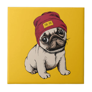 Mini Pug do hipster do filhote de cachorro