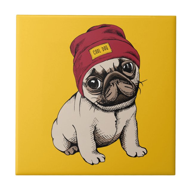 Mini Pug do hipster do filhote de cachorro (Frente)