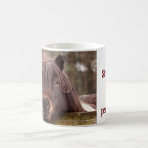 mini Shetland, caneca de grande personalidade