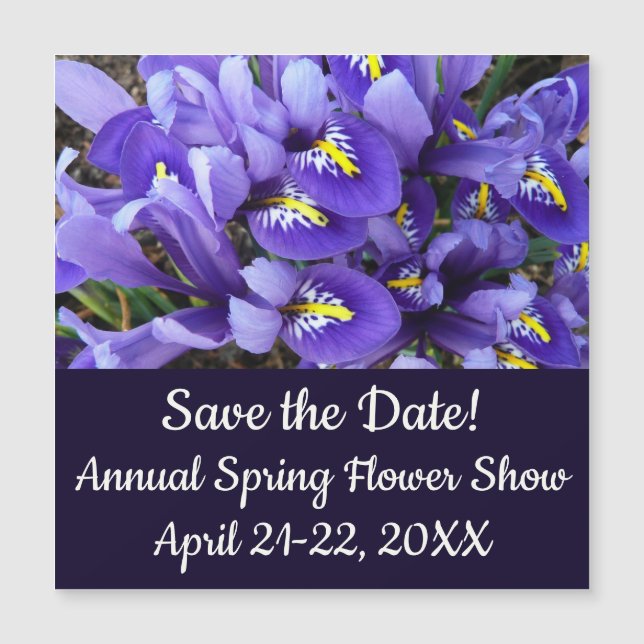 Miniatura Azul Levanta Primavera Floral (Frente)