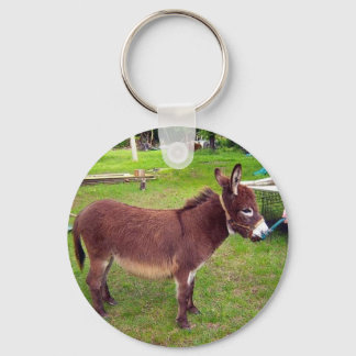 Miniatura Chaveiro de Donkey