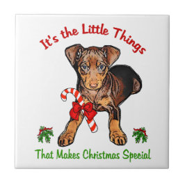 Miniatura Pinscher
