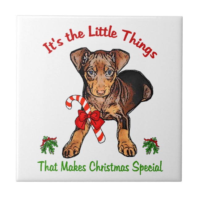 Miniatura Pinscher (Frente)