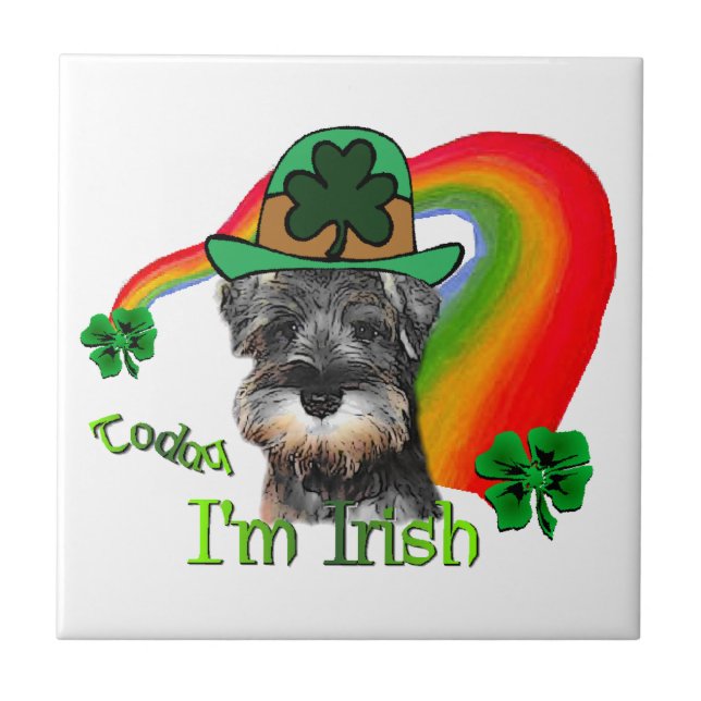 Miniatura Schnauzer St Patricks (Frente)