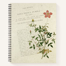 Miniaturas refinadas: Rosa indica bomila Notebook