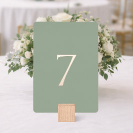 Minimal Sage Green Wedding Table Number