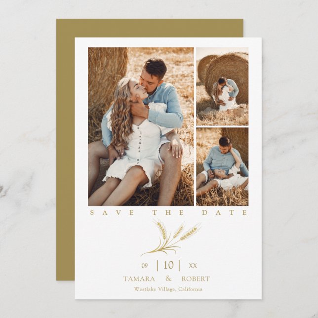 Minimalist Golden Wheat 3 Photos Collage Wedding (Frente/Verso)