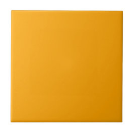 Minimalista de Laranja Sunny para Decor de Primave