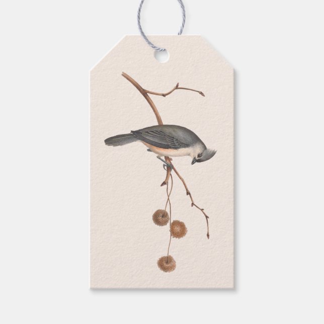 Mínimo rosa e Cinza Pássaro de inverno Etiqueta de (Frente)