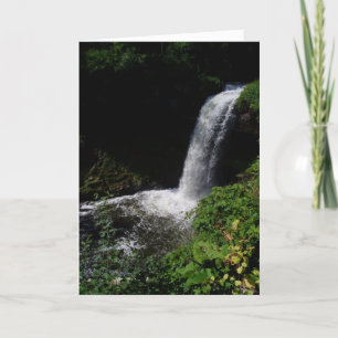 "Minnehaha Falls #2" Cartão de Melhoras