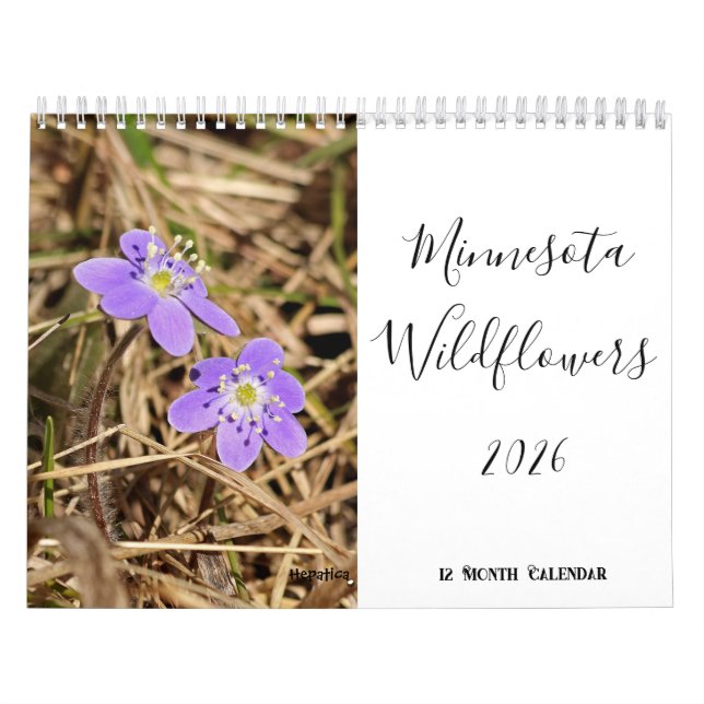 Minnesota Wildflower 2026 12 Meses Calendário de M (Capa)