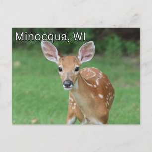 Minocqua Wisconsin Cartão postal Souvenir