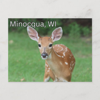 Minocqua Wisconsin Cartão postal Souvenir