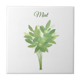 Mint Herb Greenery Kitchen Culinária Chic Verde