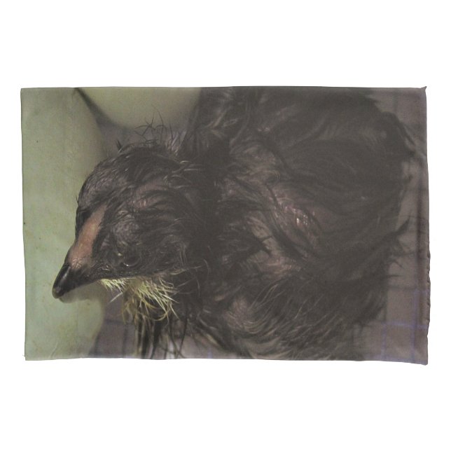 Minutos velhos (Frente)