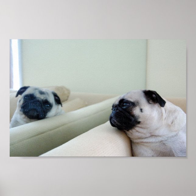 Mirror Pugs Poster (Frente)
