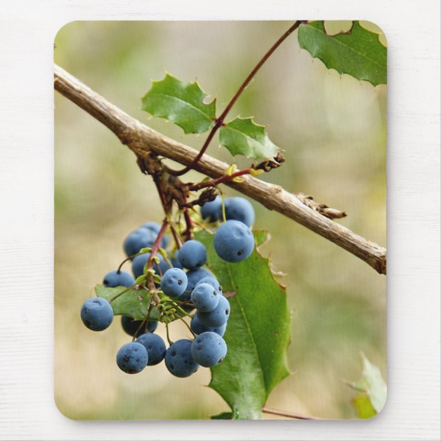 Mirtilo Mousepads (Frente)