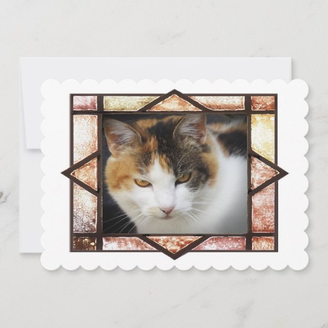 Miss Gatinho (Frente)