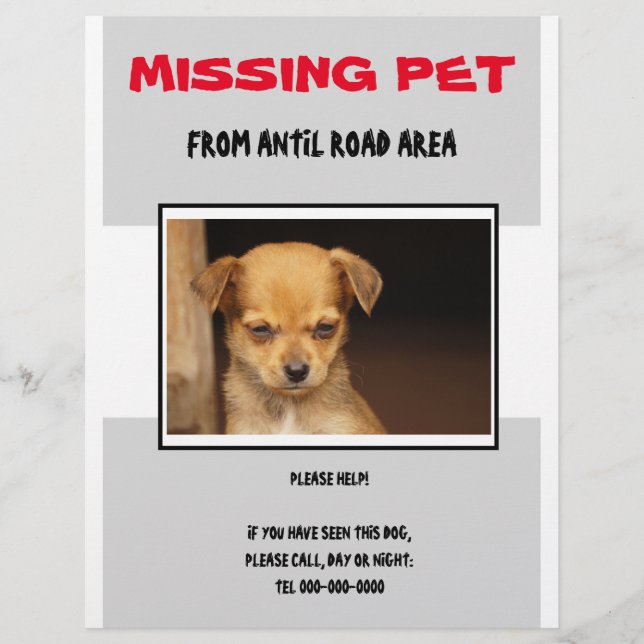MISSING PET 02  FLYER POSTER (Frente)