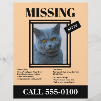 Missing Pet Flyer Custom Photo, Info