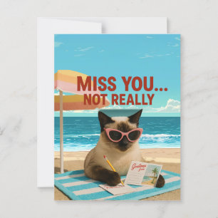 Missing You Cat está no cartão postal da praia
