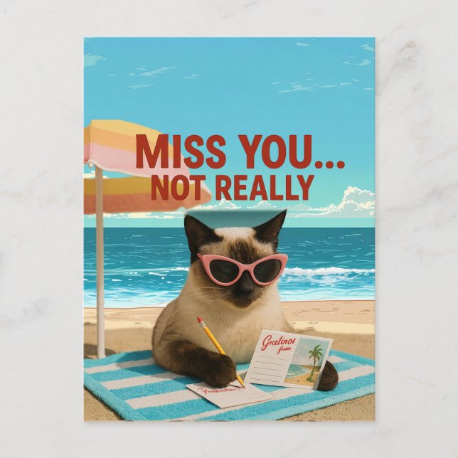 Missing You Cat está no cartão postal da praia (Frente)