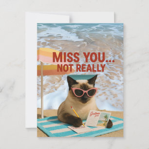 Missing You Cat está no cartão postal da praia