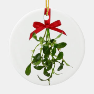 **MISTLETOE**QUE DURA A VIDA NO ORNAMENTO