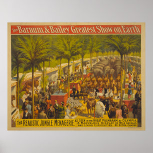 Mistura variada da selva no poster do circo da Oly