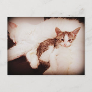 Misturando no cartão postal