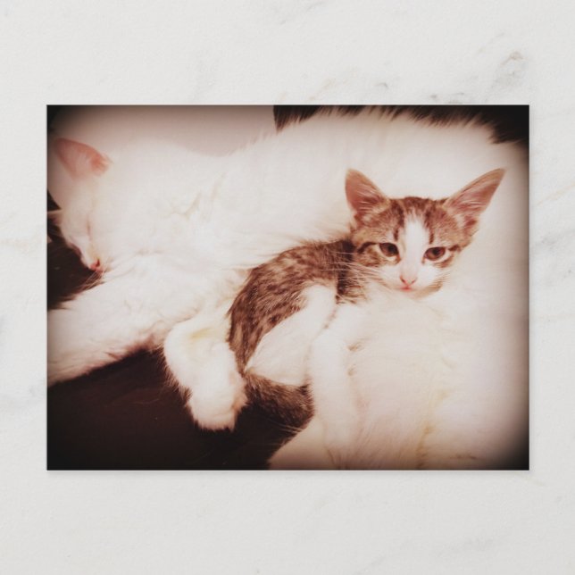 Misturando no cartão postal (Frente)