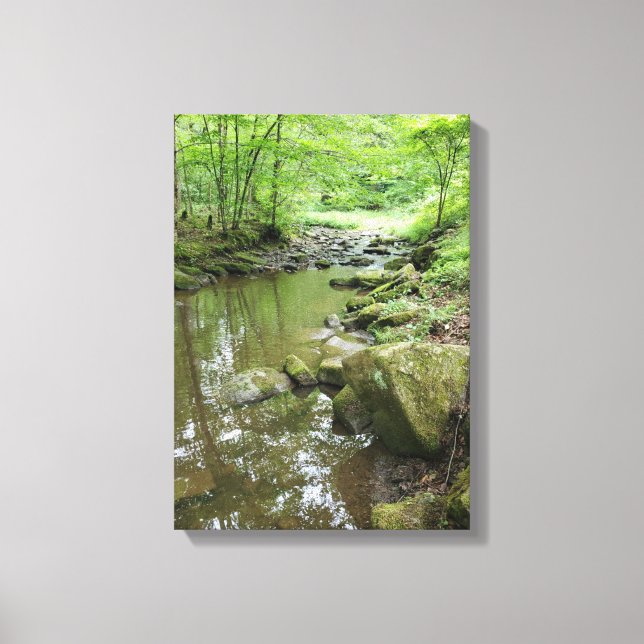 Misty Forest Canvas Wall Art | Serene Nature (Frente)