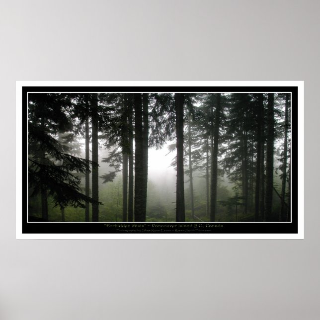 Misty Forest Mystical Photo Poster (Frente)