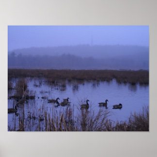 Misty Marsh Fotografia Poster