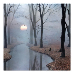 Misty Morning Foto Alargamento