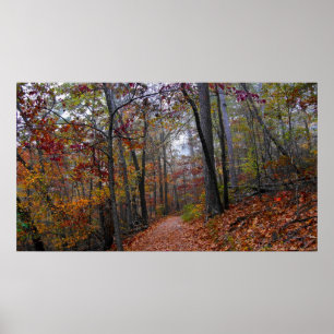 Misty Trail no Colorful Autumn Forest Poster