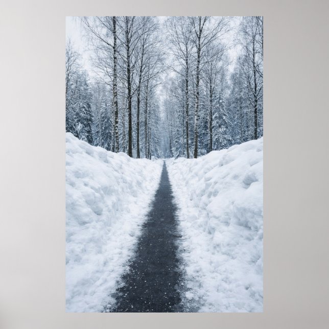 Misty Winter Forest Path Winter Landscape Poster (Frente)