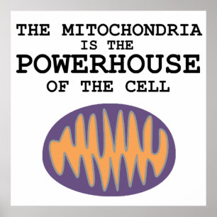 Mitocôndria é o Powerhouse - Poster