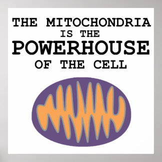 Mitocôndria é o Powerhouse - Poster