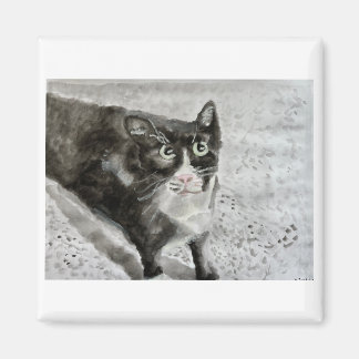 Mitten o gatinho em imã