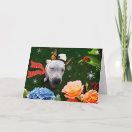 Mitzy the Mariposa, Cartão de Cartões de natal