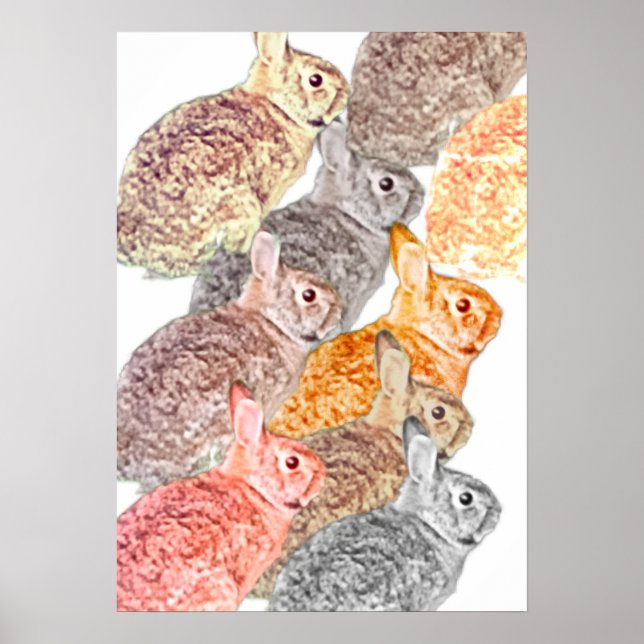 Mixed Bunny Poster Poster (Frente)
