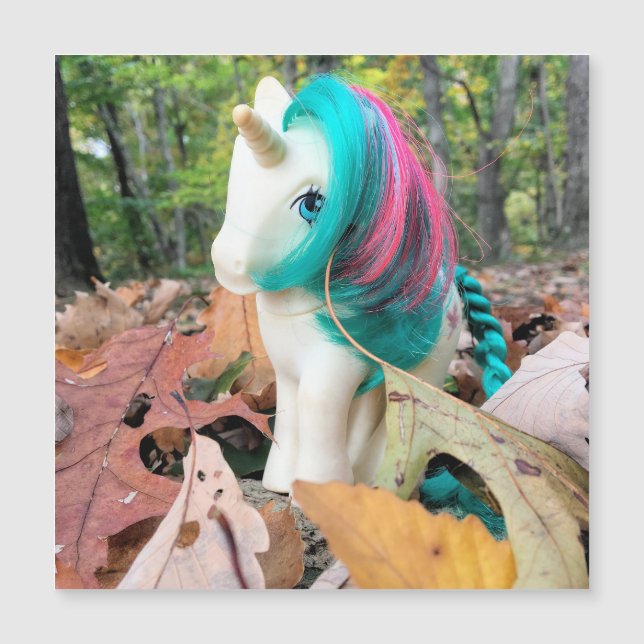 MLP Gusty in Autumn Leaves (Frente)