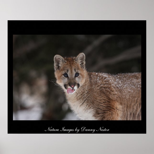 MMM - Poster (Frente)