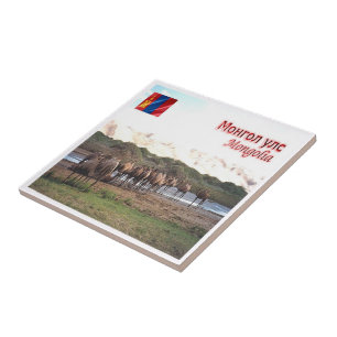 MN008 KHONGORYN ELS CAMELS, Mongólia,