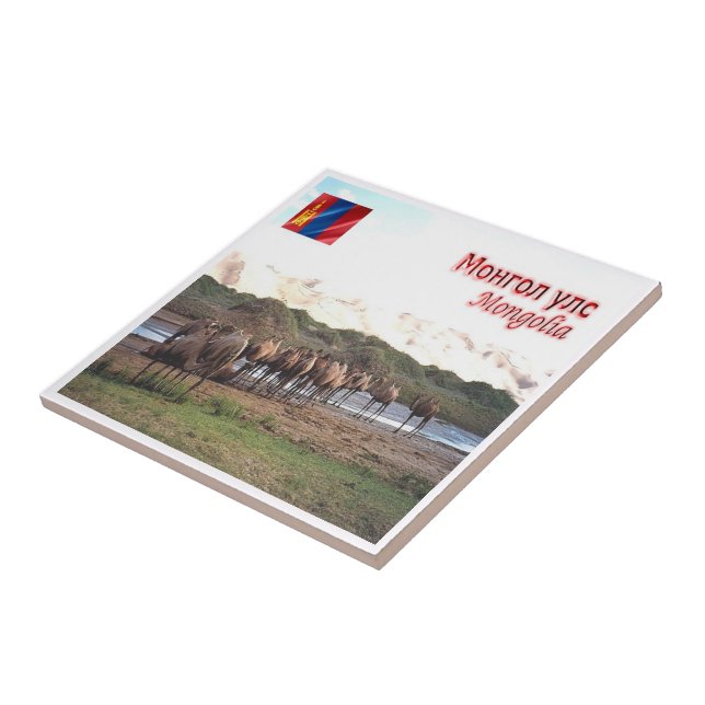 MN008 KHONGORYN ELS CAMELS, Mongólia, (Lateral)