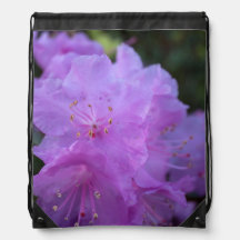 elegantes, bonito flores de azálea primavera púrpu