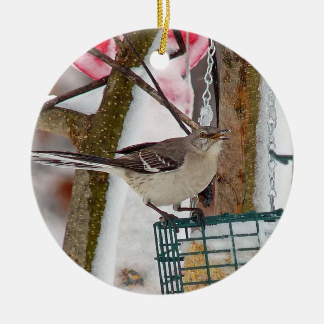 Mockingbird (Frente)